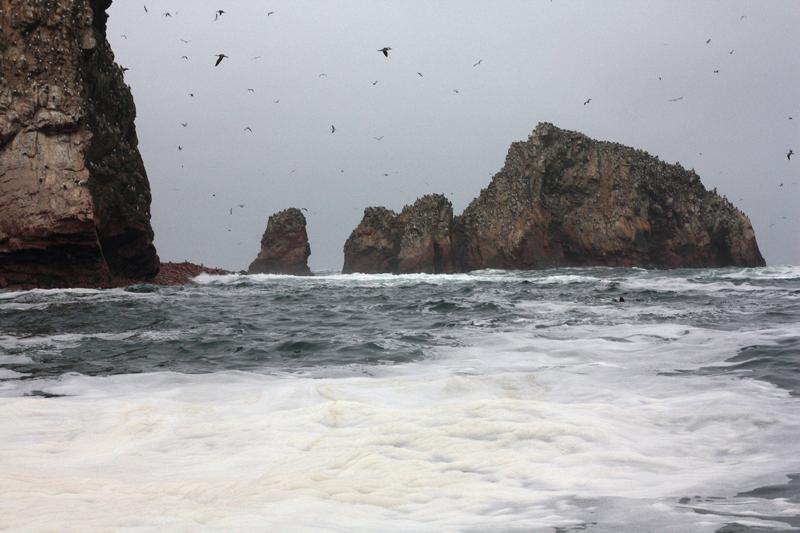 1201-Isole Ballestas,19 luglio 2013.JPG